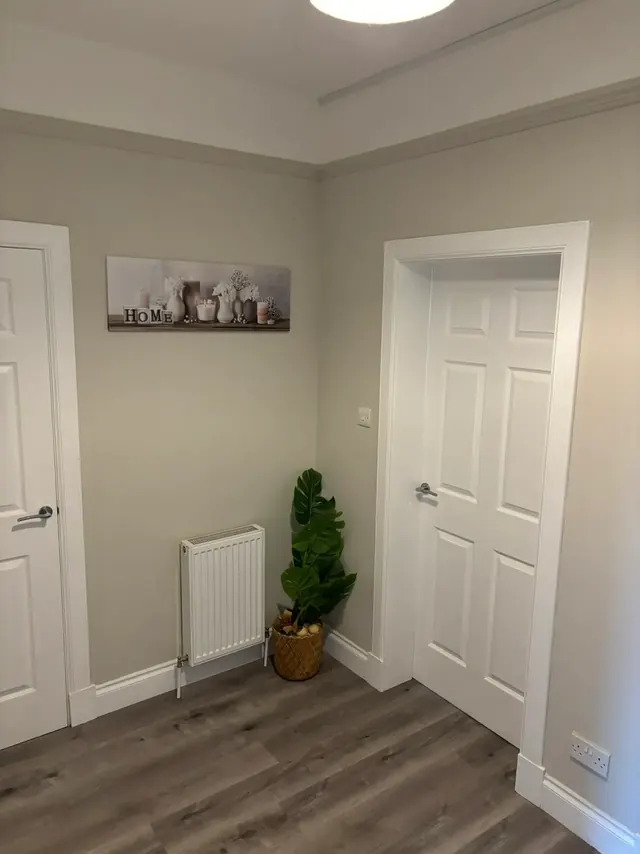 Bright hallway with white doors and a leafy plant